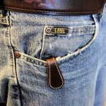 Pocket sheath in pocket